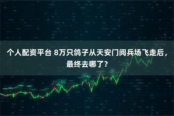 个人配资平台 8万只鸽子从天安门阅兵场飞走后,最终去哪了?