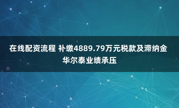 在线配资流程 补缴4889.79万元税款及滞纳金 华尔泰业绩承压