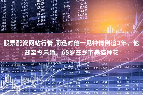 股票配资网站行情 周迅对他一见钟情倒追3年,他却至今未婚,65岁在乡下养猫种花
