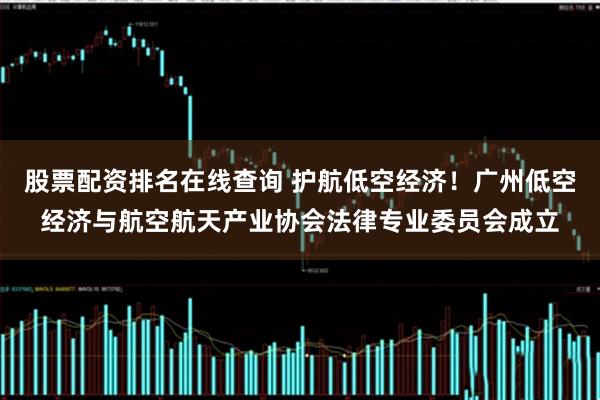 股票配资排名在线查询 护航低空经济！广州低空经济与航空航天产业协会法律专业委员会成立